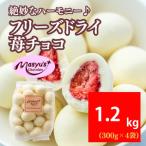フリーズドライ苺チョコ 1200g