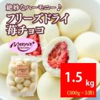 フリーズドライ苺チョコ 1500g