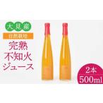 令和8年熊本地震復興支援 大見産 自然栽培