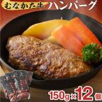 むなかた牛 ハンバーグ 12個セット _HA1795