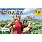 fu.... налог [ установленный срок рейс 2 месяцев ] Tsuchiura город производство renkon 1.2kg легкий в использовании маленький шар renkon!... лотос корень сельское хозяйство .. . удача renkon [ сосна. маленький коробка ] l прямая поставка от производителя ... префектура Ibaraki город Tsuchiura 