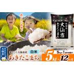 ふるさと納税 米《定期便12ヶ月》あきたこまち【白米】 米どころ秋田県大仙市産 令和7年産 精米 5kg（5kg×1袋） 秋田県大仙市