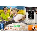 ふるさと納税 米 令和7年産【無洗米】米どころ秋田県大仙市産 あきたこまち5kg（5kg×1袋） 秋田県大仙市