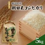 清里産 棚田米 コシヒカリ 5kg