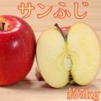 りんご サンふじ 約5kg