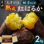 島津甘藷 熟成紅はるか 2kg