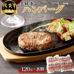 佐賀牛仕込みハンバーグ 8個:B130-048