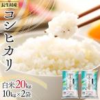 I01-B01-00 長生産コシヒカリ