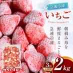 冷凍いちご とちあいか 2kg
