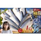 ふっくら 極み塩サバ 計約1kg 1切れ