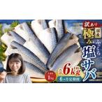 ふっくら 極み塩サバ 計約1kg 1切れ