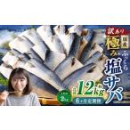 ふっくら 極み塩サバ 計約2kg 1切れ