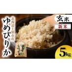 ふるさと納税 【B7137】