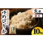 ふるさと納税 【C7081】