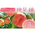 ふるさと納税 【2026年�