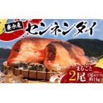 E5-7702 センネンダイ 丸ごと 2尾