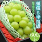 緑の宝石 厳選高級シャインマスカット 600g