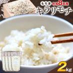もち麦 令和8年産 キラリモチ 2kg