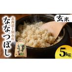 ふるさと納税 【B7138】