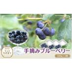 fu.... налог рука .. голубика 100g×3 шт [2026 год 7 месяц средний . примерно ~8 месяц средний . примерно последовательный отправка ]|. замок высота . ранчо [latt029] Nara префектура . замок город 