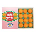 蒲郡みかん せとか 約3kg_