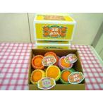 蒲郡みかん詰め合わせ 約2kg_