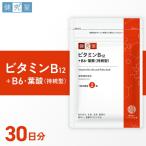 ビタミンB12+B6 葉酸 持続型 サプリメント