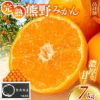 みかん 完熟 熊野みかん 7kg