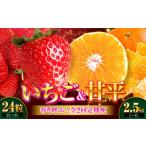 ふるさと納税 いちご・甘平 春を呼ぶ♪定期便【先行予約】【全2回定期便】 いちご(紅ほっぺ)24粒・甘平2.5kg(Lから4Lサイズ混合) | 先行予約 フ.. 愛媛県大洲市