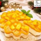 クリスマスケーキ マンゴー レア チーズケーキ