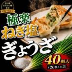 東金極楽ねぎ塩ぎょうざ 2袋セット 20個入×2