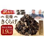 乾燥 きくらげ 320g