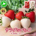 サラダないちご 赤 白 ご褒美 苺 最旬 果物 フルーツ
