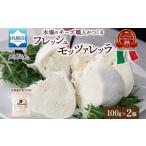 モッツァレラ 100g×2