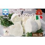 モッツァレラ 100g×5