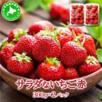 サラダないちご 赤 ご褒美 苺 最旬 果物 フルーツ
