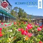 宿泊券5 000円券×1枚
