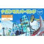ナガシマ リゾート スパーランド パスポート券
