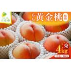 ショッピングふるさと納税 桃 ふるさと納税 もも ( 黄金桃 無袋 ) 約 4kg フルーツ 果物 山形 08-02-006 山形県天童市