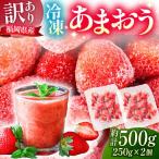 冷凍あまおう500g 250g×2個