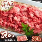 博多和牛 切り落とし 250g