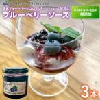 ブルーベリーソース 3本