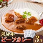 飛騨牛ビーフカレー 180g×3袋