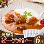 飛騨牛ビーフカレー 180g×6袋