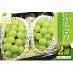 ふるさと納税 ぶどう ( シャインマスカット ) 2房 フルーツ 果物 山形 08-02-017 山形県天童市