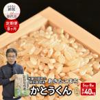 特別栽培米 あきたこまち 白米