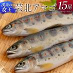 渓流の女王 芸北アマゴ 15尾_OG065_018