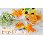 潮風 自然栽培 いよかん 冷凍 ピール 皮 お菓子づくり