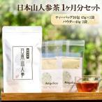 ★希少★日本山人参で健康に 1か月分セット