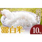 白米 10kg